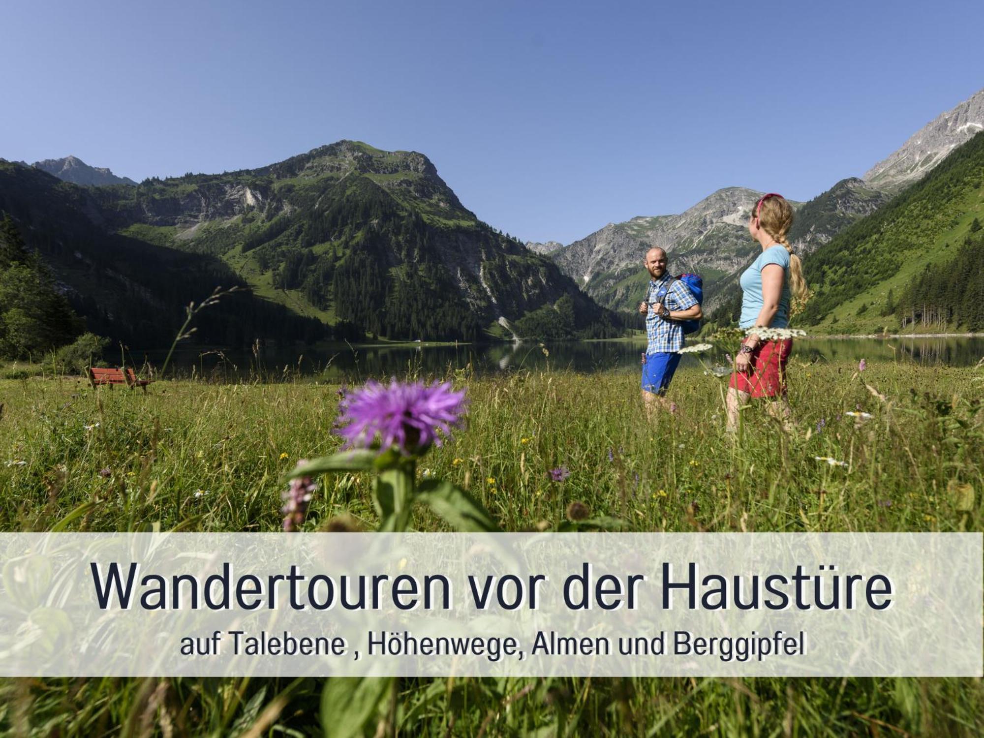 Appartement - Birgit Mariacher - Infrarotsauna & Broetchenservice - Zentral - Alles Fusslaeufig Erreichbar - Freier Bergblick Tannheim